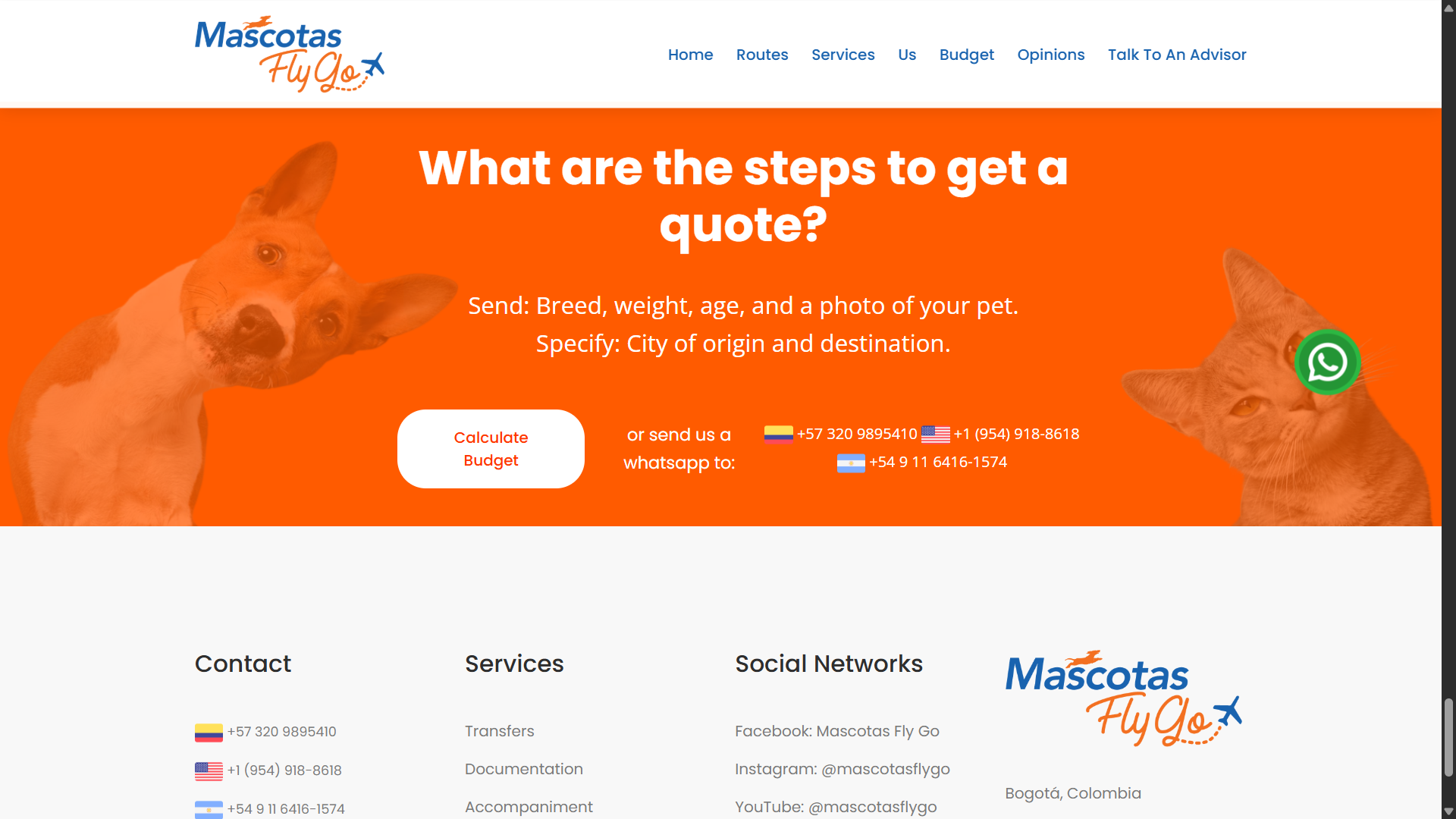 mascotas flygo